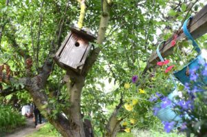 Blick übern Gartenzaun (Foto: Regina Katzer)