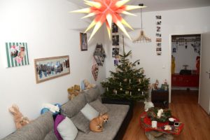 Familienglück unterm Weihnachtsbaum (Foto: Regina Katzer)